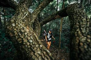 BIB: 
                            <button type="button" onclick="openModal(25394240)" class="btn btn-primary btn-sm float-right btn-popup" data-toggle="modal" data-target=".modal-high-quality">
                        <i class="fas fa-shopping-cart"></i> Add to Cart
                    </button>
                                            <button type="button" onclick="isThisMe(25394240, true)" class="btn btn-success btn-sm float-right btn-popup btn-isme hidden" data-toggle="tooltip" data-placement="bottom" title="นี่คือรูปของคุณใช่ไหม คลิกที่นี่เพื่อเอาเข้าอัลบั้ม">
                        <i class="fas fa-plus"></i> Add to album
                    </button>
                    <button type="button" onclick="isThisMe(25394240, false)" class="btn btn-warning btn-sm float-right btn-popup btn-isnotme hidden">
                        <i class="fas fa-ban"></i> Remove from album
                    </button>